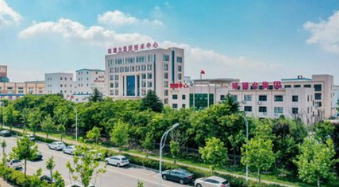 琅琊台集团信息化招采平台建设项目.png