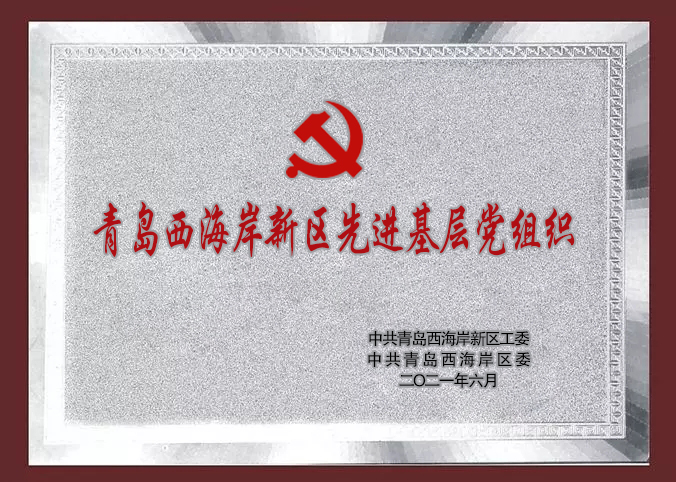 西海岸新区先进基层党组织.jpg